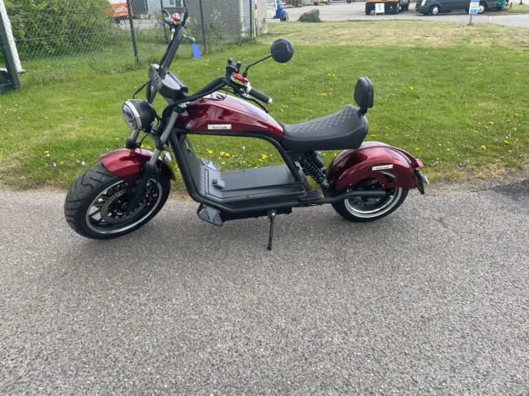 Texel: Explore Texel with a Café Cruiser E-scooter - A Step-by-Step Look at the Tour Experience