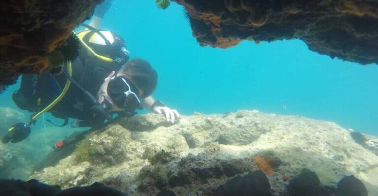 Thasos: Introductory Scuba Diving Expereince - An Honest Look at the Thasos Introductory Dive