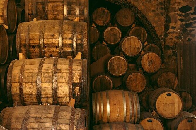 The Agave Experience Tequila Tour in Jalisco - What Makes This Tour Stand Out?