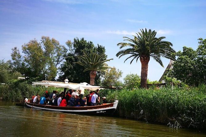 The Albufera Natural Park Private Tour from Valencia with transport - Final Thoughts