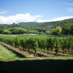 The Amarone Chateau guided tour and tasting in Valpolicella - Final Thoughts