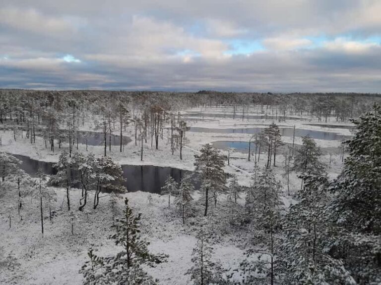 The Authentic Lahemaa daytour Carmen reisid - Discovering Lahemaa National Park