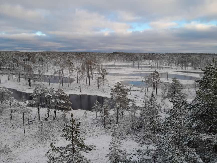 The Authentic Lahemaa daytour Carmen reisid - Discovering Lahemaa National Park