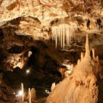 The Bear's cave: 1 day airconditioned car tour from Oradea - Practical Tips for Your Visit