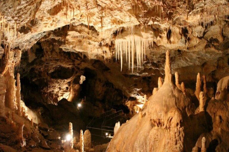 The Bear's cave: 1 day airconditioned car tour from Oradea - Practical Tips for Your Visit