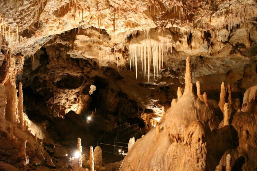 The Bear's cave: 1 day airconditioned car tour from Oradea - Practical Tips for Your Visit