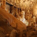 The Bear's Cave - One-Day Air conditioned car Tour from Oradea - Pricing and Value