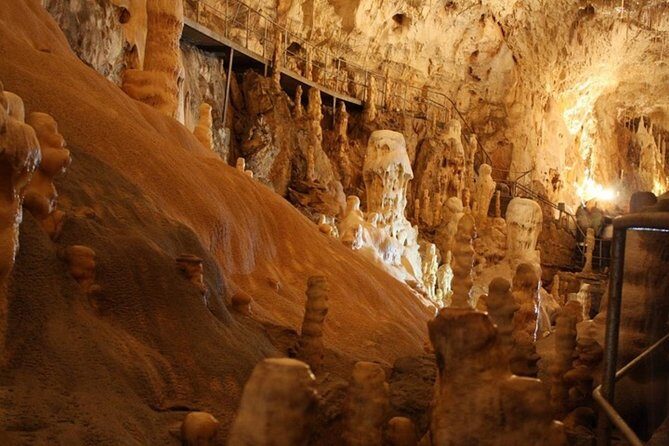 The Bear's Cave - One-Day Air conditioned car Tour from Oradea - Pricing and Value