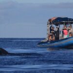 The Best 12 pm 1.5 Hour Whale Watching Tour - Who Should Consider This Tour?