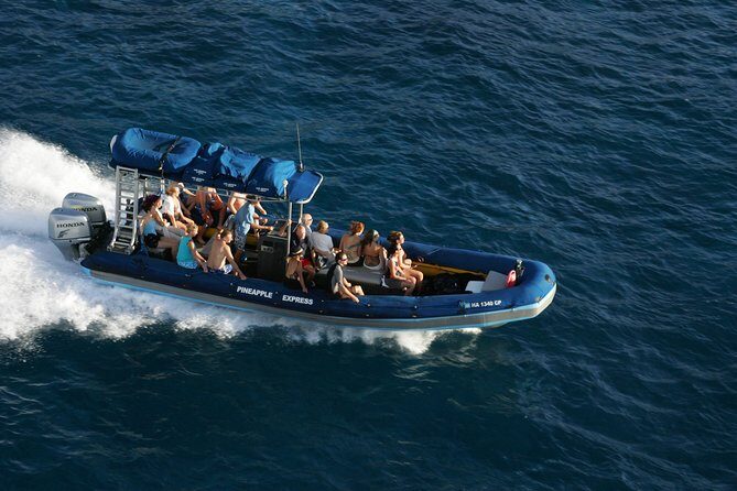 The Best 4 hour inclusive Kanaio Sea Caves and La Perouse Snorkel - Who Will Love This Tour?