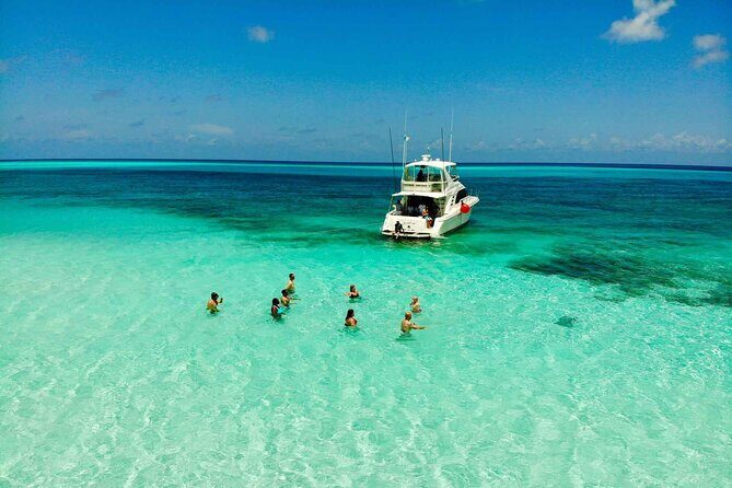 The Best Cozumel Snorkeling Tour Palancar, Colombia and El Cielo Reefs - What Can You Expect Regarding Value?