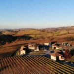 The Best of the Langhe: Wine Tasting & Traditional Meal - What’s the Real Value?
