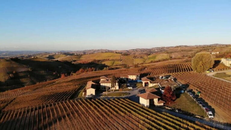 The Best of the Langhe: Wine Tasting & Traditional Meal - What’s the Real Value?