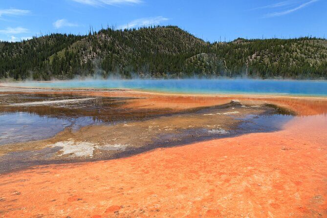 The Best of Yellowstone - Nat'l Park Day Tour From Cody - Private - The Perfect Introduction to Yellowstone’s Wonders