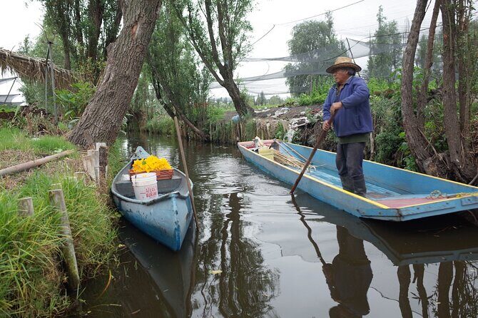 The City Green Exploring the Urban Eco Reserve of Xochimilco - The Value of the Tour: Is It Worth It?