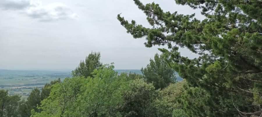 The Côtes du Rhône wine route by electric bike - What You Can Expect from the Experience