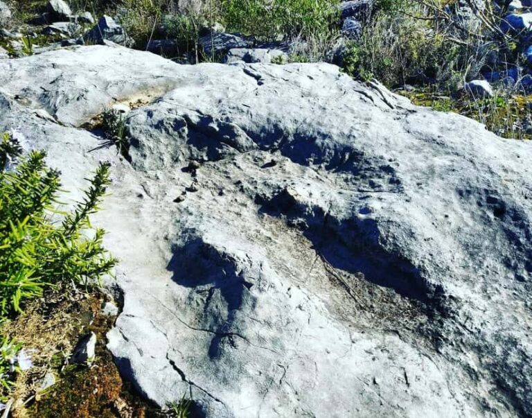 The Earth Remembers: SUV Tour in Serras de Aire e Candeeiros - What Makes This Tour Special