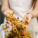 The flavours of Greece Tasting: Spot on the map and discover - The Tasting: More Than Just Flavors