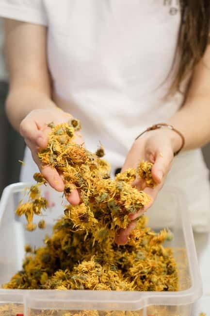 The flavours of Greece Tasting: Spot on the map and discover - The Tasting: More Than Just Flavors