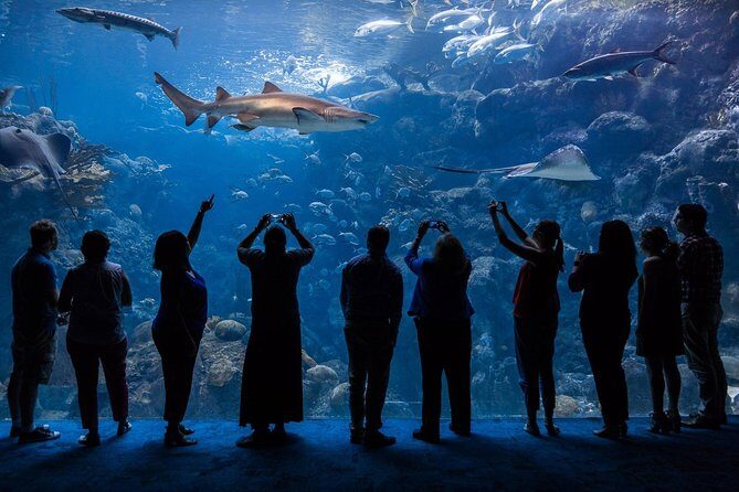 The Florida Aquarium in Tampa General Admission - What Visitors Say: Honest Feedback from Travelers