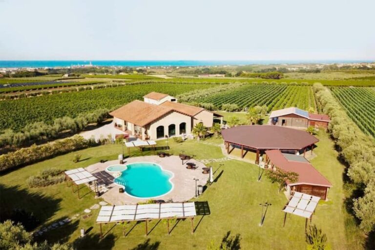 The Fontefico Style: a guided tour of the winery and a tasting lunch - The Practicalities