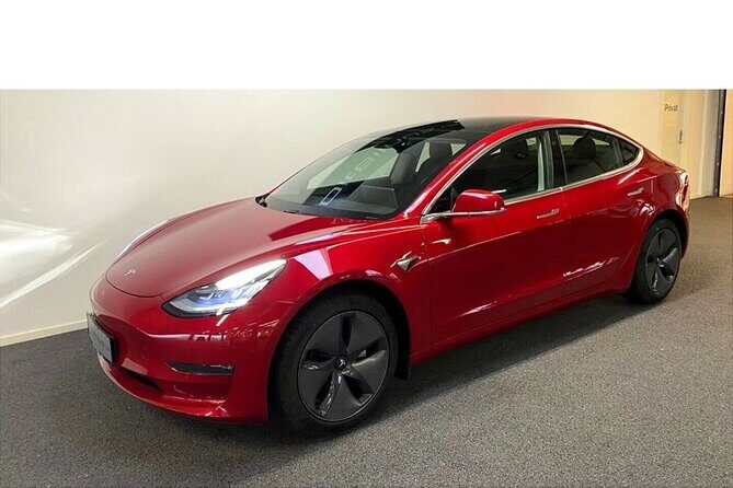 The Forgotten Giants Private Tour - What Makes This Tour Special?