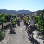 The Grape Escape! Cycling in Beautiful Scenery with Wine Tasting - Why This Tour Stands Out