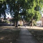 The Great Plague & Black Death Tour of London - The Experience: What It Feels Like