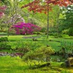 The Hague: Insta-Perfect Walk with a Local - Is the Price Worth It?