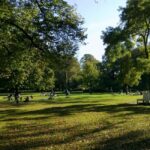 The Hague: Mystery Figures Walking Tour - A Closer Look at the Mystery Figures Walking Tour