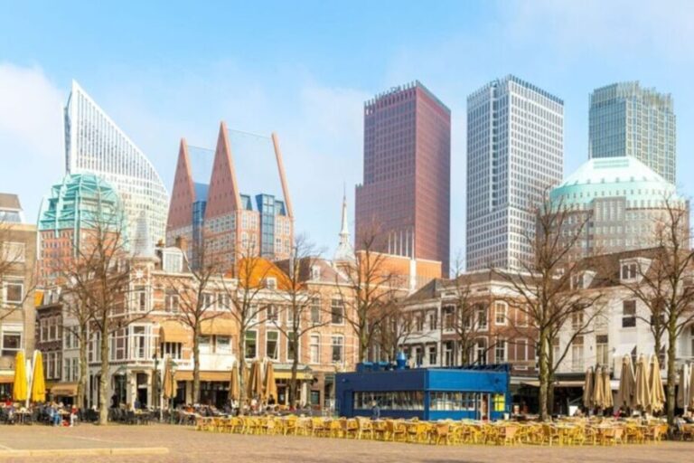 The Hague: Private Custom Walking Tour With A Local Guide - What to Expect from the Tour