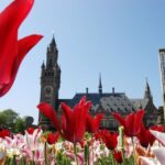 The Hague Walking Tour - Who Is This Tour Best Suited For?