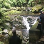 The King's Levada - Levada do Rei - The Value of the Tour: Is It Worth It?