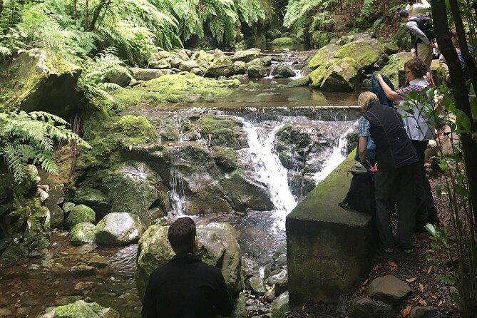 The King's Levada - Levada do Rei - The Value of the Tour: Is It Worth It?