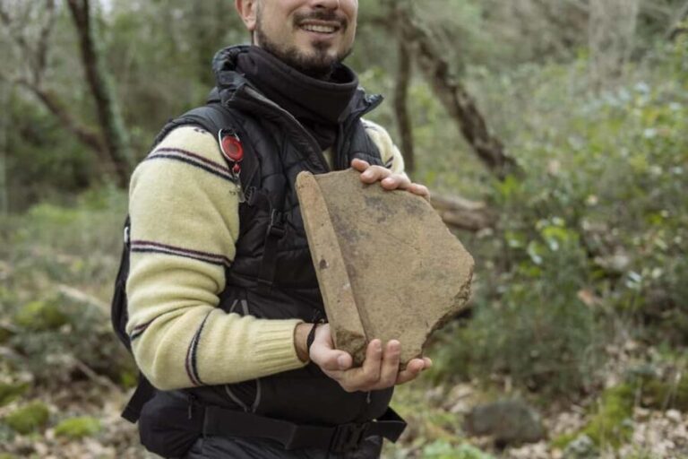 The Lamone Forest: among brigands and charcoal burners - The Practical Aspects