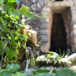 The Limestone Heritage Park and Gardens (Entry Ticket) - The Itinerary: What Will You See and Do?