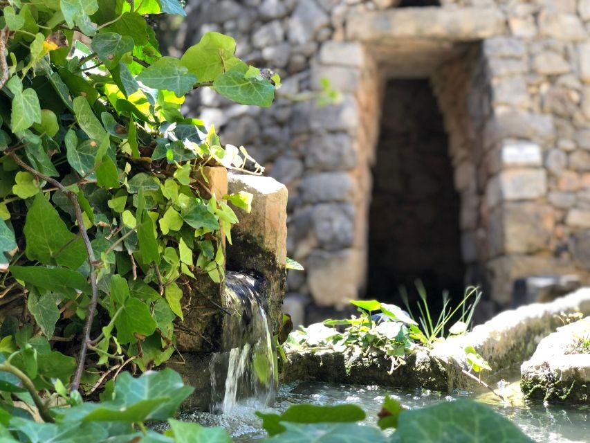 The Limestone Heritage Park and Gardens (Entry Ticket) - The Itinerary: What Will You See and Do?