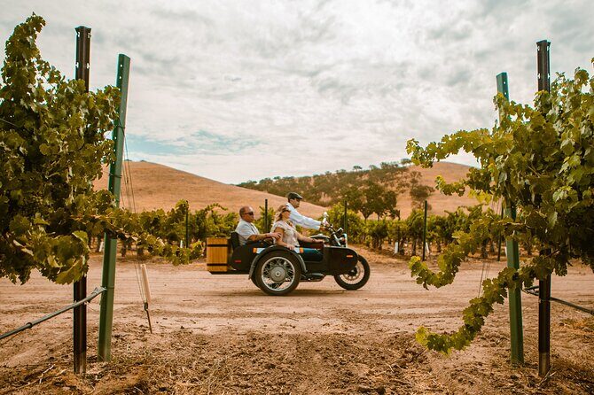 The Luxe Wine Trail Excursion Paso Robles - The Value: Is It Worth It?