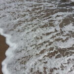 The Magic of the French Riviera: Full-Day Guided Tour - Highlights of Monaco and Monte-Carlo