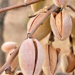 The Mediterranean Diet & Lifestyle Cooking Class. - FAQ