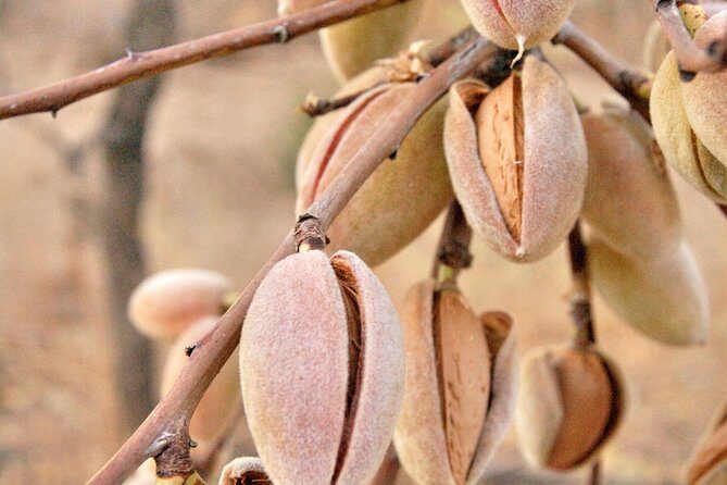 The Mediterranean Diet & Lifestyle Cooking Class. - FAQ