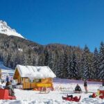 The most famous sledge slope in the Dolomites and a panoramic tour by car - Analyzing the Value: Is It Worth It?