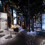 The National WWII Museum Campus Pass plus 4-D Film - Exploring the Museum Campus