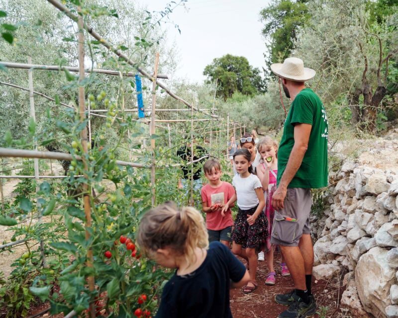 The Olive Oil Experience @ Lefkada Micro Farm - The Experience in Context: Value & Practicalities