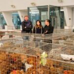 The Only Fish Market Tasting Tour, Sea to Table - The Itinerary Breakdown