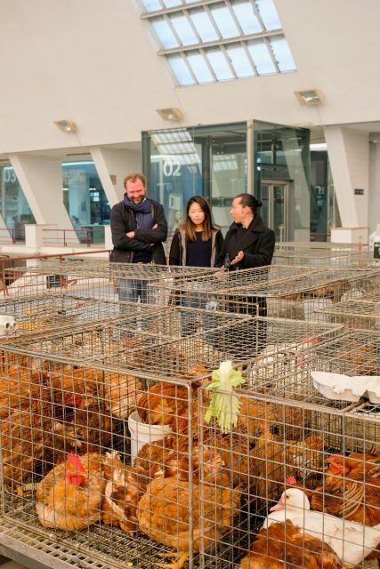 The Only Fish Market Tasting Tour, Sea to Table - The Itinerary Breakdown