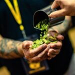 The Original Charlotte Brewery Tour - Craft Beer Experience - Practical Details & Tips