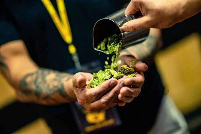 The Original Charlotte Brewery Tour - Craft Beer Experience - Practical Details & Tips