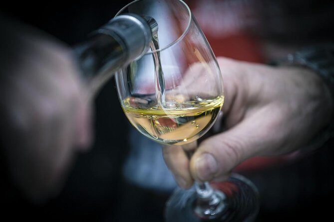 The Original Syrah Wine Tour (9:00 am - 1:30 pm) - Small Group Tours from Lyon - What the Reviews Say