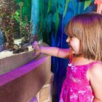 The Orlando Eye - Pricing and Value